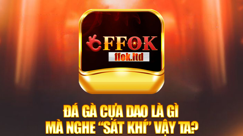 Đá gà cựa dao là gì mà nghe “sát khí” vậy ta?