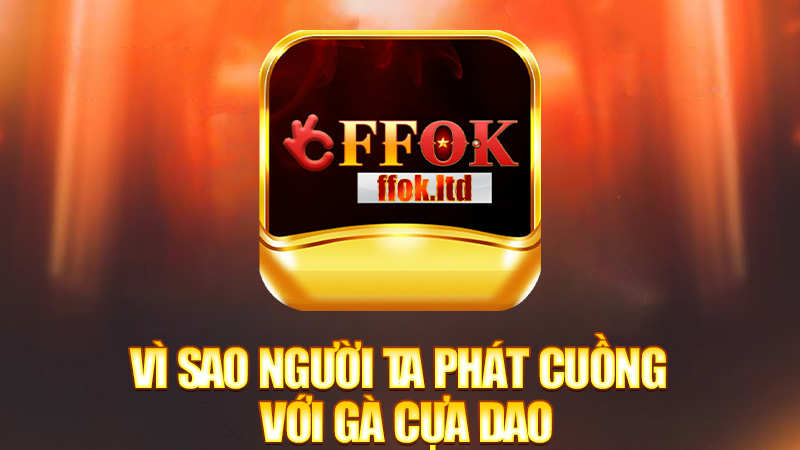 Vì sao người ta phát cuồng với gà cựa dao?