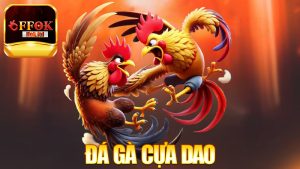 Đá Gà Cựa Dao – Khi võ sĩ có thêm vũ khí