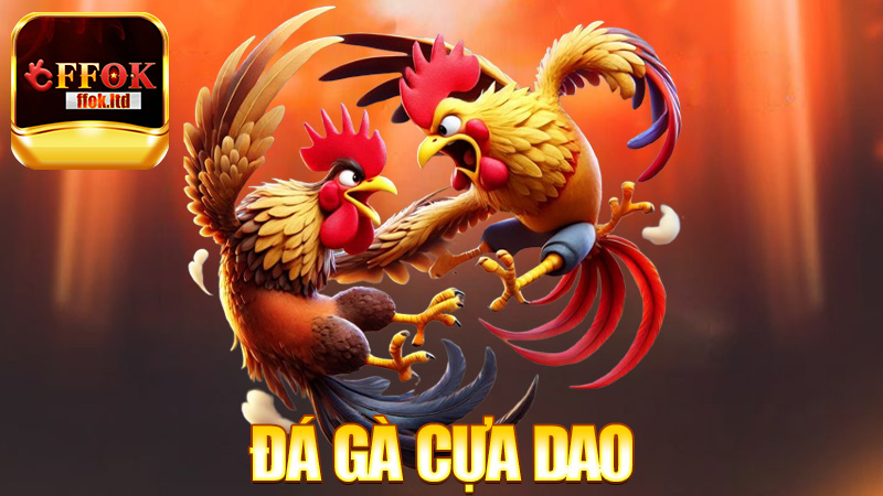 Đá Gà Cựa Dao – Khi võ sĩ có thêm vũ khí