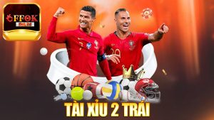 Tài Xỉu 2 Trái – Một con số, hai thái cực